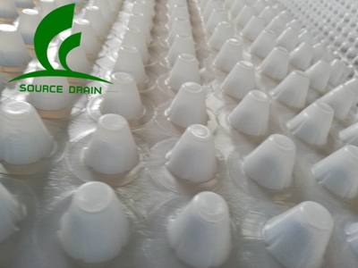 1553765875718286.jpg 微信圖片_20190328172155.jpg