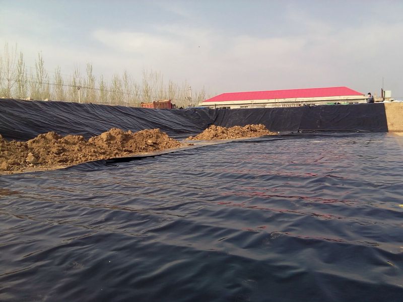 1569199256140494.jpg 3_654_98979_800_600.jpg