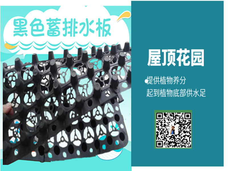 1595572199671553.png 06c74d372c6749aaa14b823d73b69f9.png