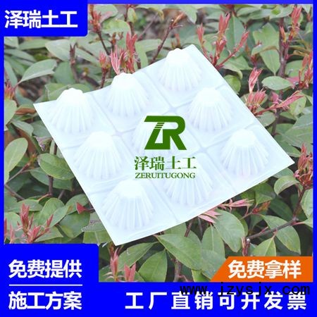 1629797002503124.jpg 165337431573.jpg